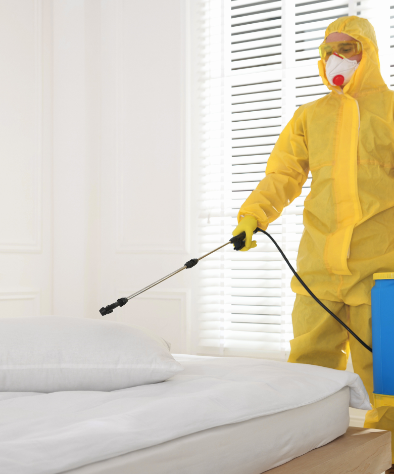 Professional Pest Control Team in Chain of Ponds